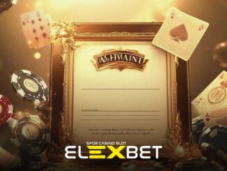 Elexbet lisansları